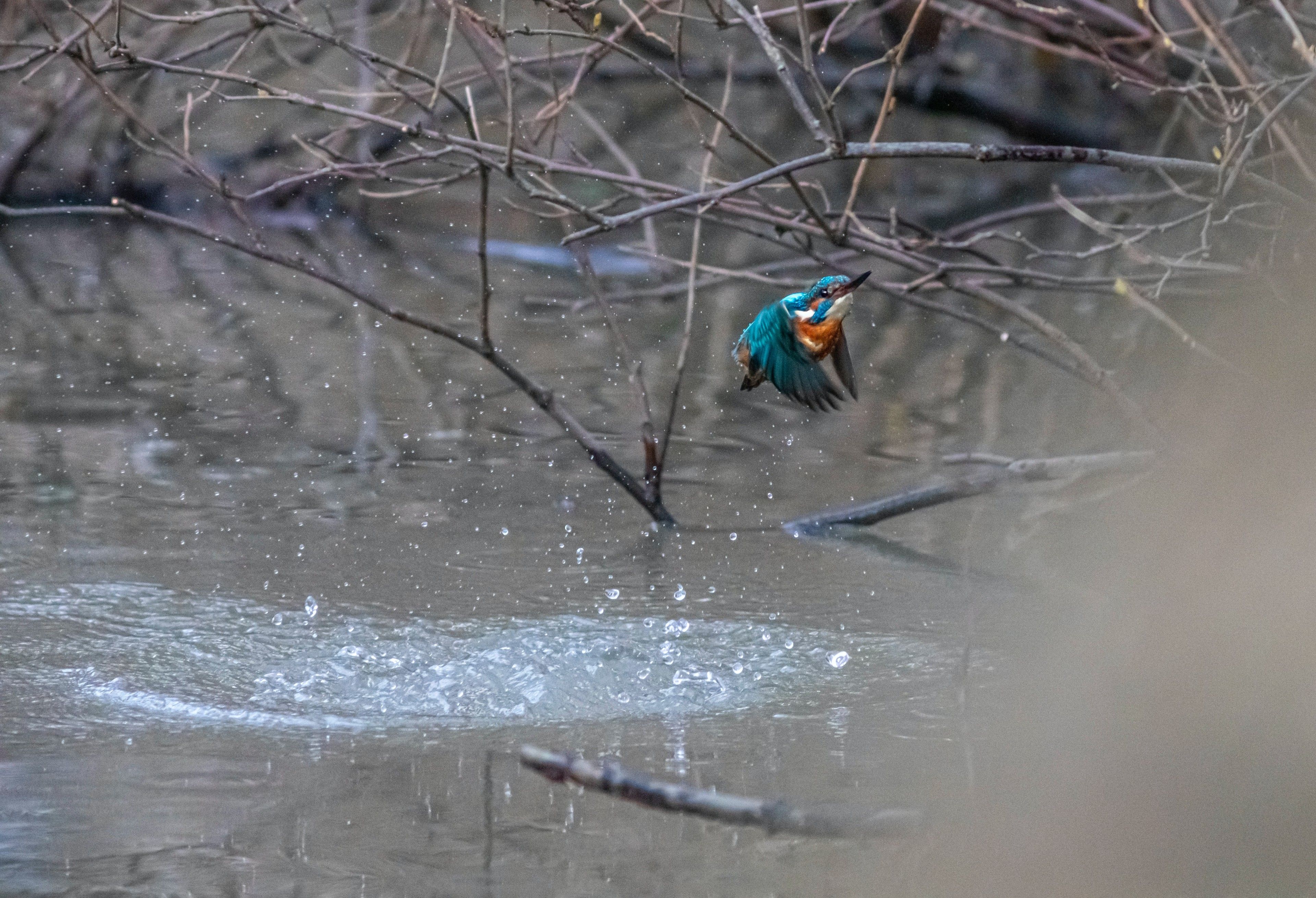 Photo by Erik Karits on Unsplash