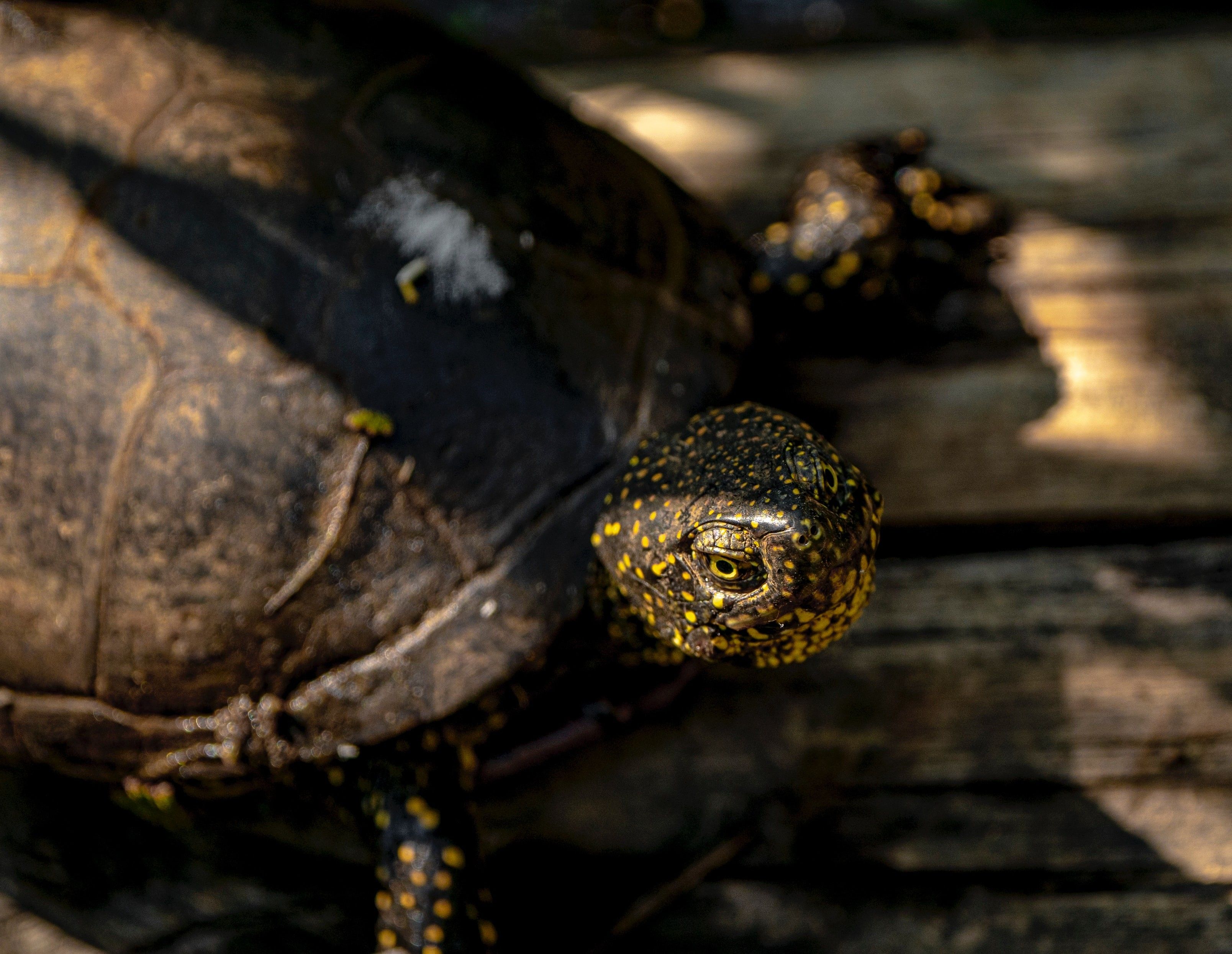 Photo by Akbar Nemati on Unsplash